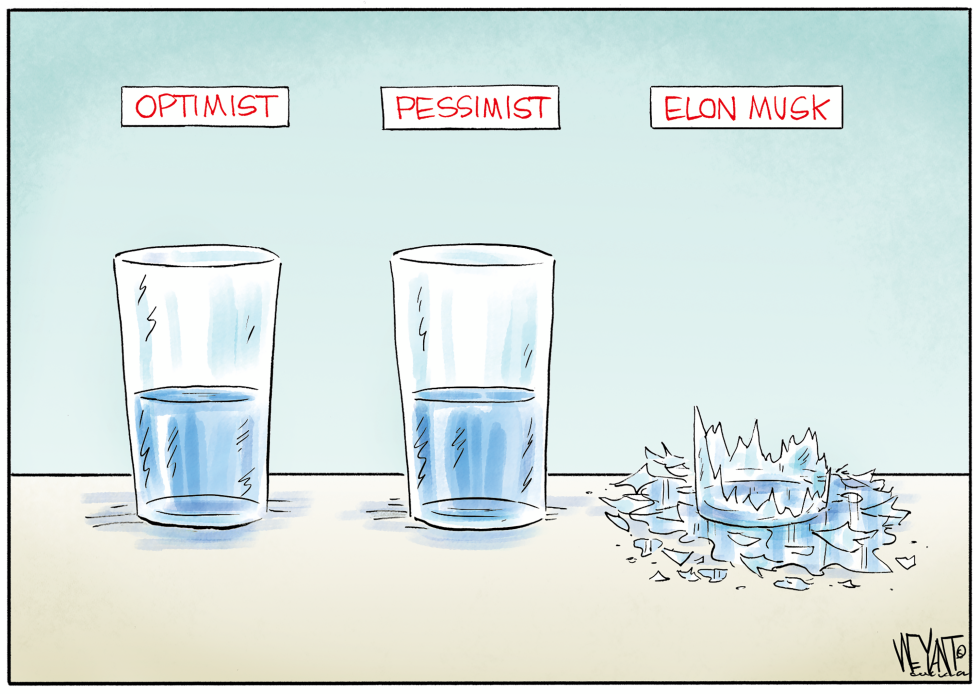 Optimist Pessimist Elon Musk