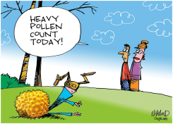 HEAVY POLLEN SEASON by Dave Whamond