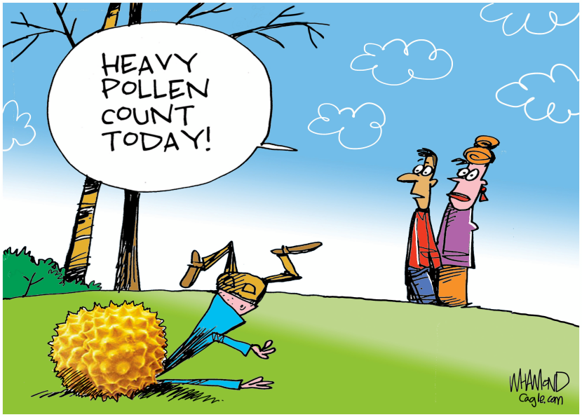 Heavy Pollen season