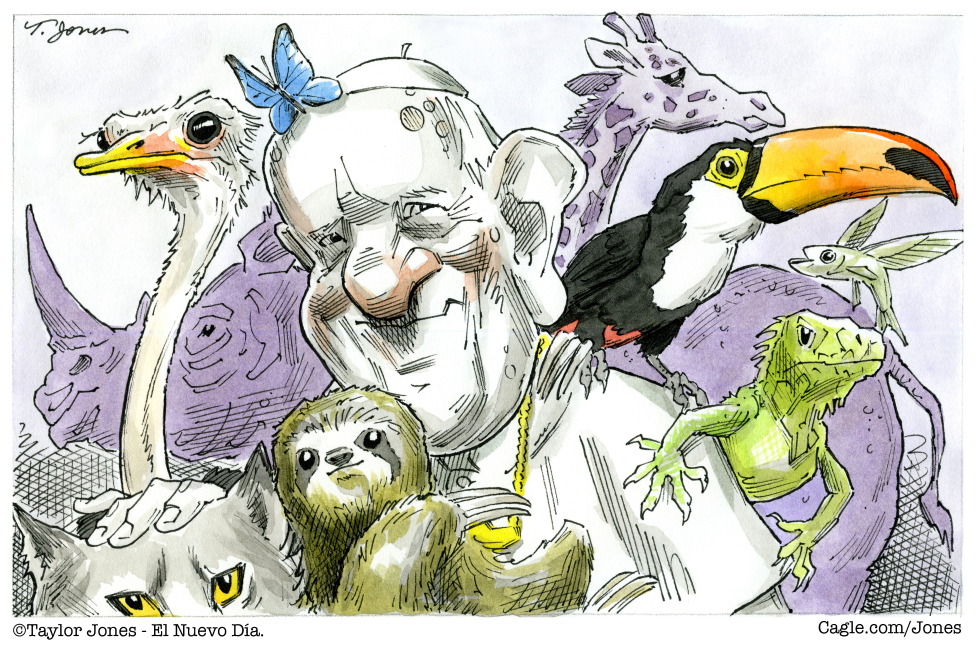 Pope Francis (of Assisi)