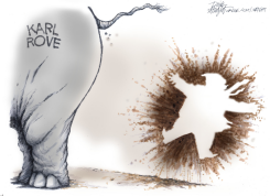 KARL ROVE AND TRUMP by Dick Wright