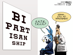 DEMOCRATS ARE LOSING SWING VOTERS by Margolis & Cox