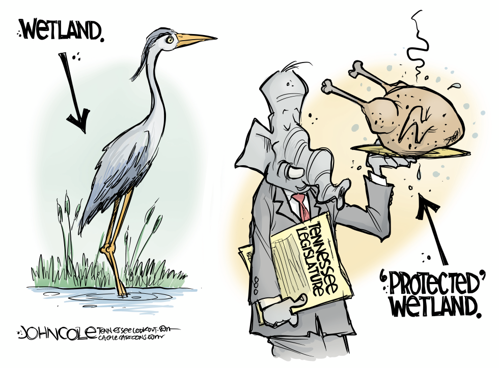 TENNESSEE Legislature slashes wetlands protections