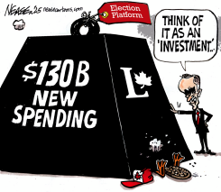 INVESTMENT by Steve Nease