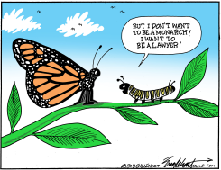 MONARCH BUTTERFLIES IN SPRING by Bob Englehart