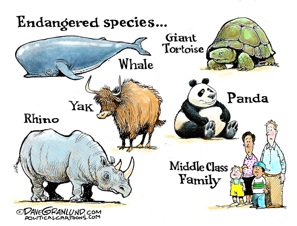 #2 MIDDLE CLASS SPECIES by Dave Granlund
