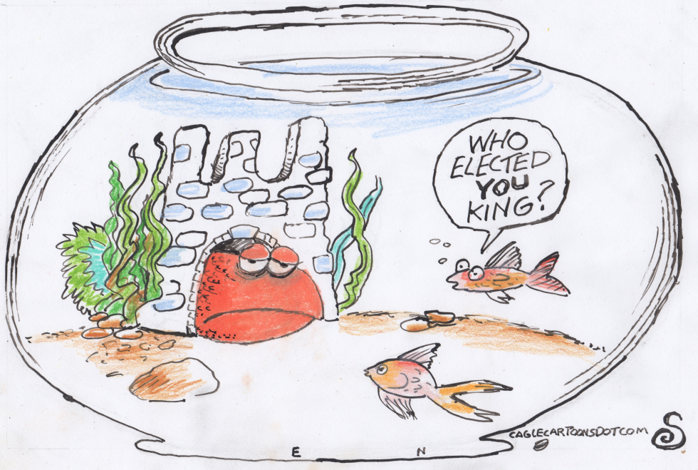 LARGE GOLDFISH TAKING OVER BOWL