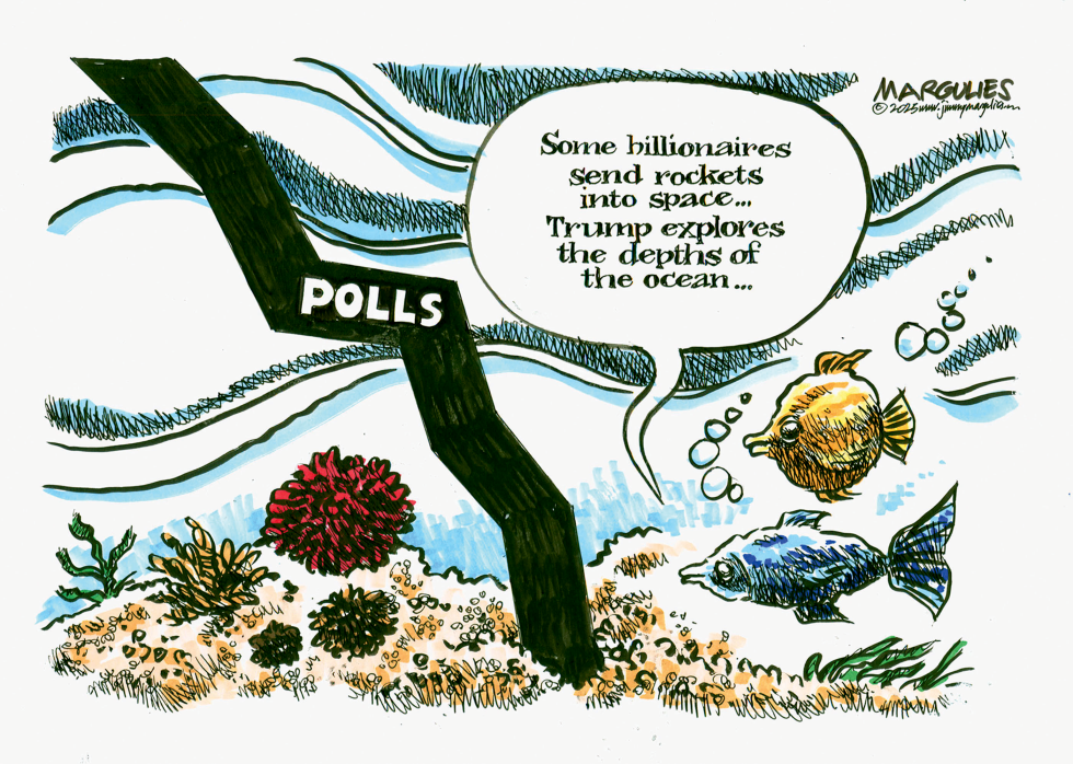 Trump POlls