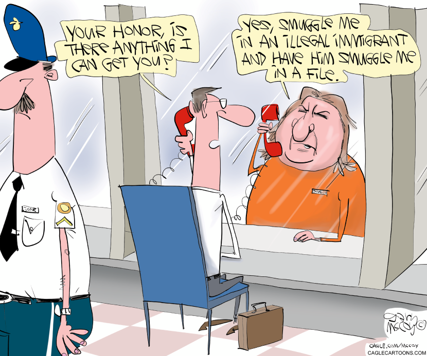 Judge Dugan Cartoon Mocks Courtroom Aid to Illegal Immigrants