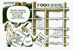FOOD BANK EMPTY SHELVES by Jimmy Margulies