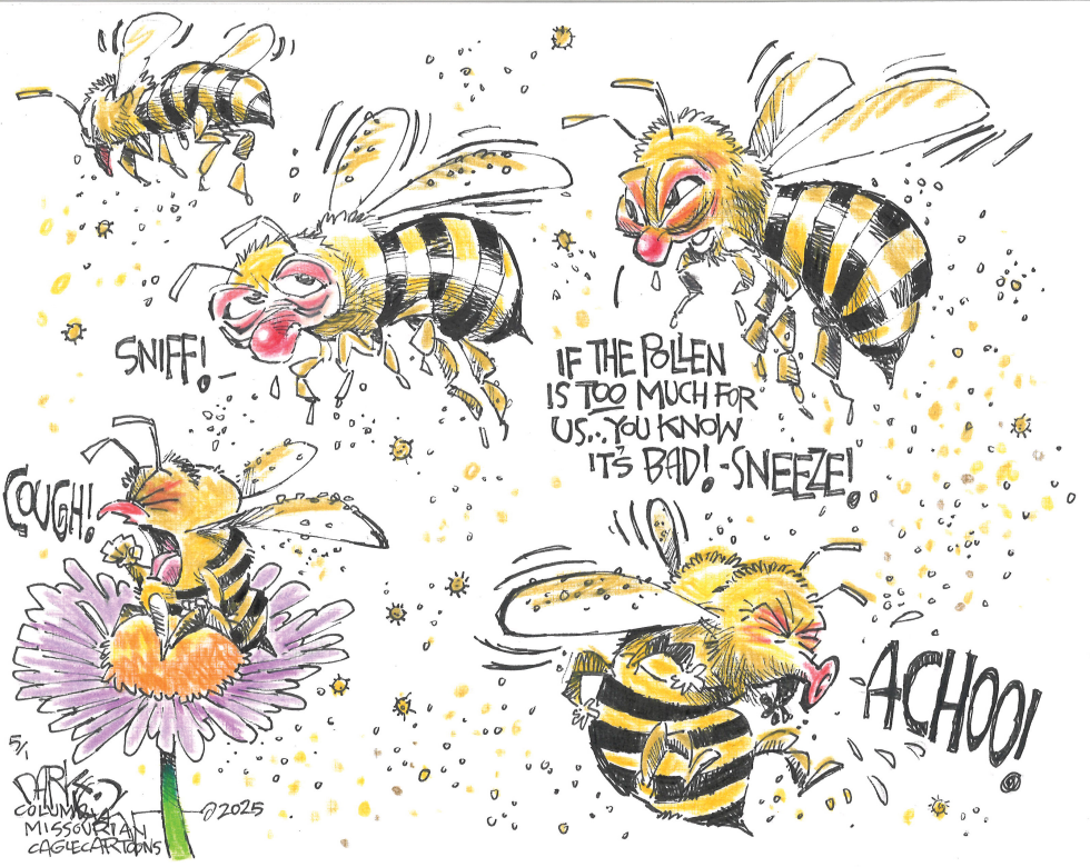 #3 ALLERGY SEASON by John Darkow