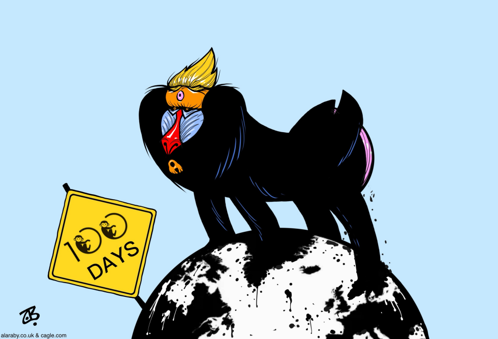 Trump Monkey Mandrill 100 Days World Trade