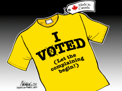 I VOTED by Steve Nease