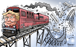 TRUMP IN INITIAL DAYS by Paresh Nath