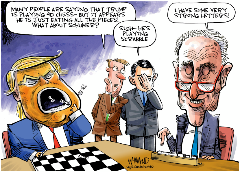 Political games