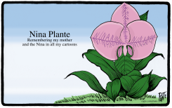 AN ORCHID FOR MOTHERS' DAY by Bruce Plante