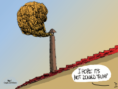 PAPAL CONCLAVE by Becs
