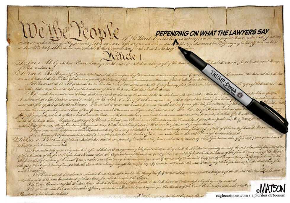 #1 TRUMP SHARPIE EDIT TO THE CONSTITUTION by R.J. Matson