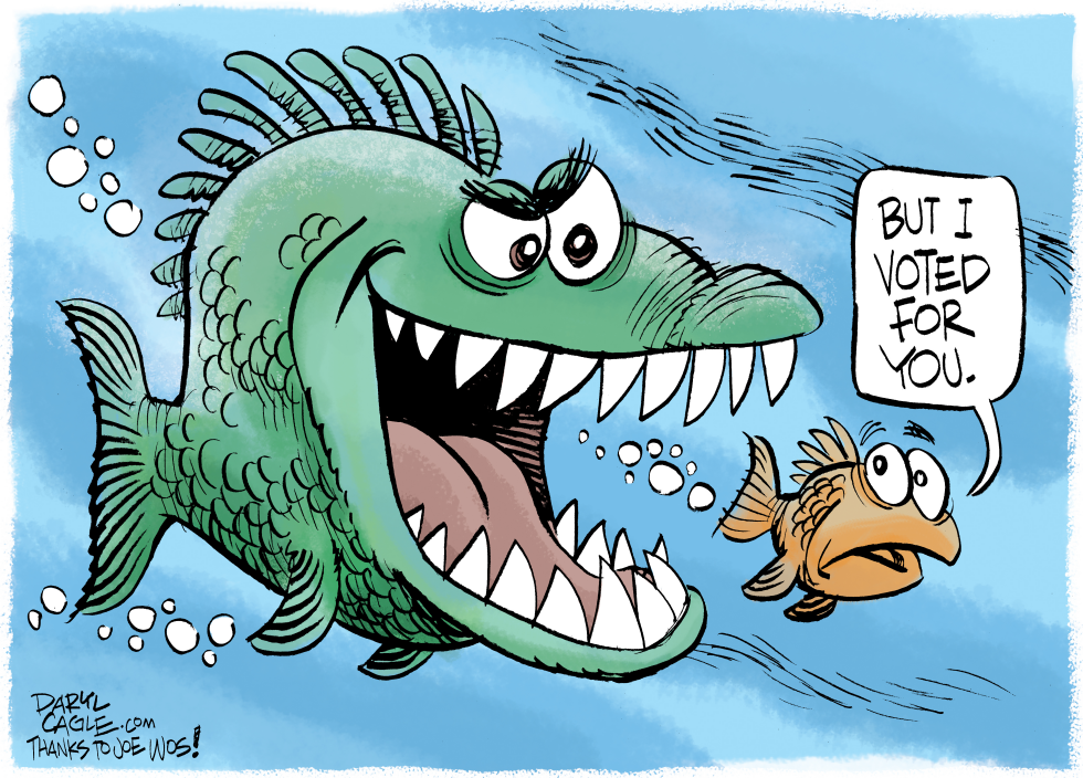 #2 BUT I VOTED FOR YOU by Daryl Cagle