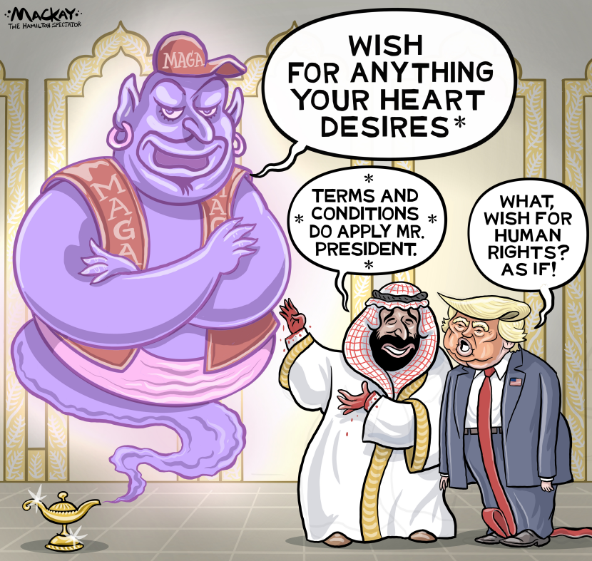 Genie’s wishes exclude human rights