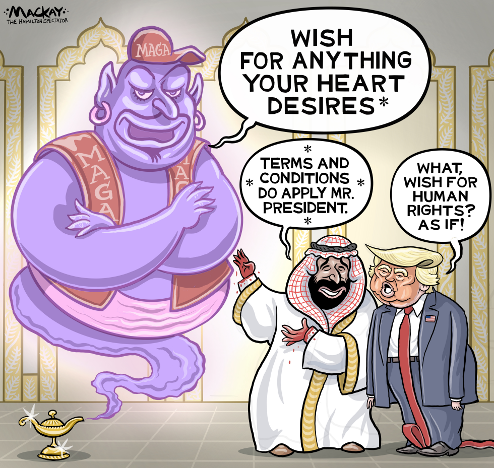Genie’s wishes exclude human rights