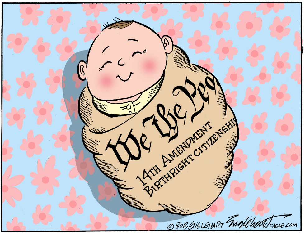 Baby Wrapped in 14th Amendment Blanket Highlights Birthright Citizenship