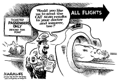 CAT SCAN by Jimmy Margulies