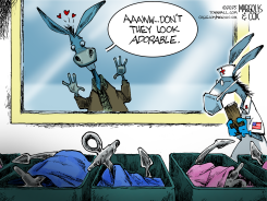 ILLEGAL IMMIGRANT ANCHOR BABIES by Margolis & Cox