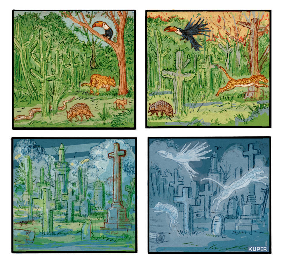 Rainforest Destruction, Wildlife Extinction