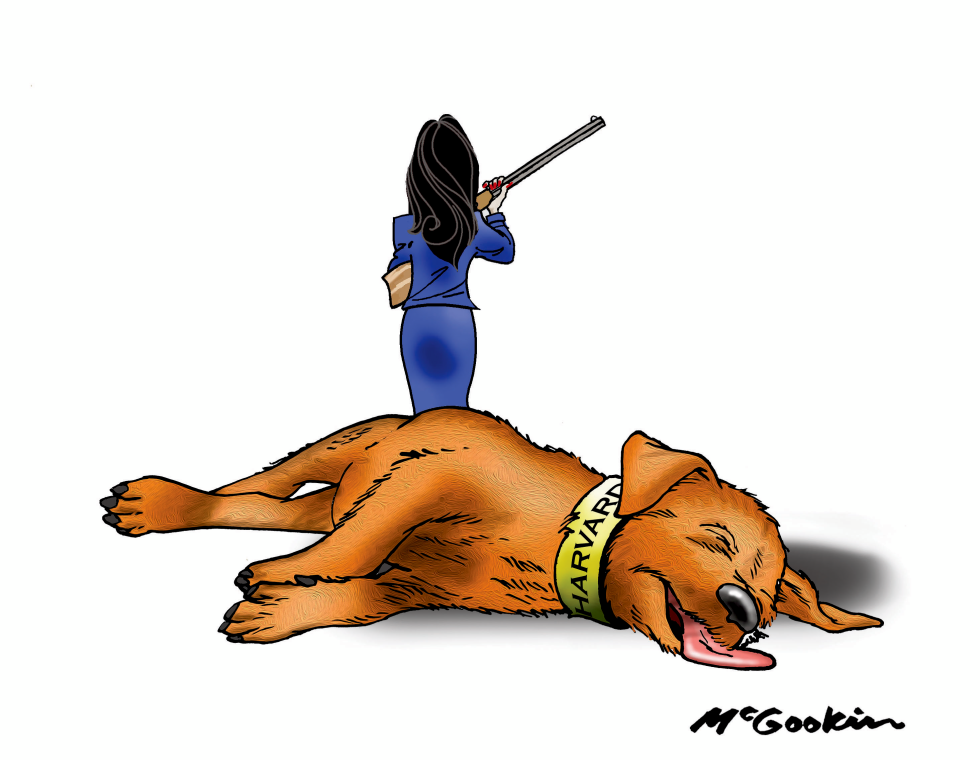 Kristie Noem Treats Harvard Like Her Naughty Dog