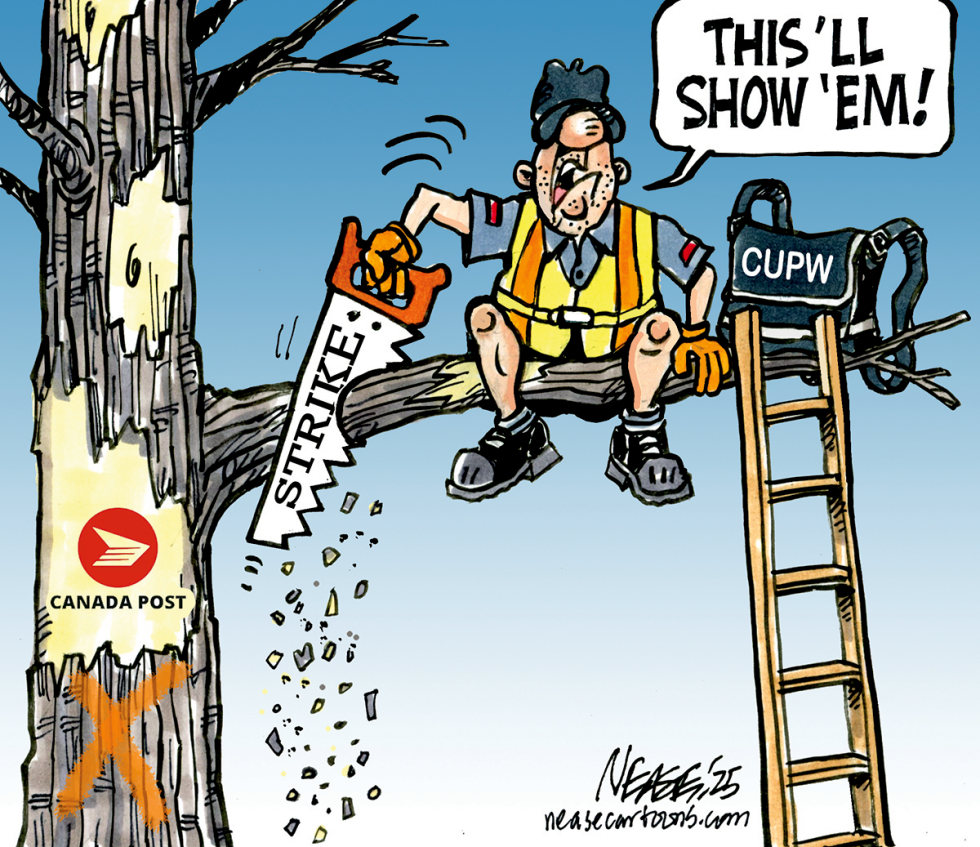 Out On Limb