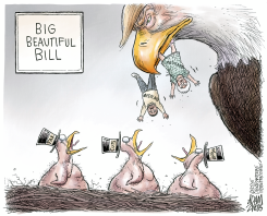 TRUMP BUDGET BILL by Adam Zyglis