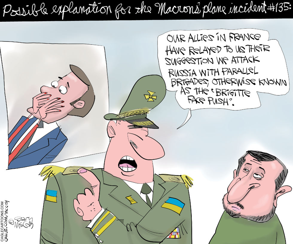 Explaining The Macron Plane Incident