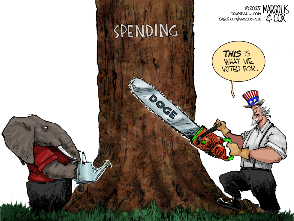 America Voted For More Spending Cuts