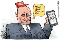 PUTIN TACO HAT by Rick McKee