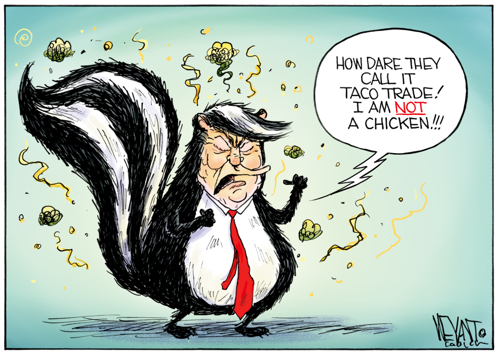 Trump's A Skunk