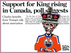SUPPORT FOR KING by Terry Mosher