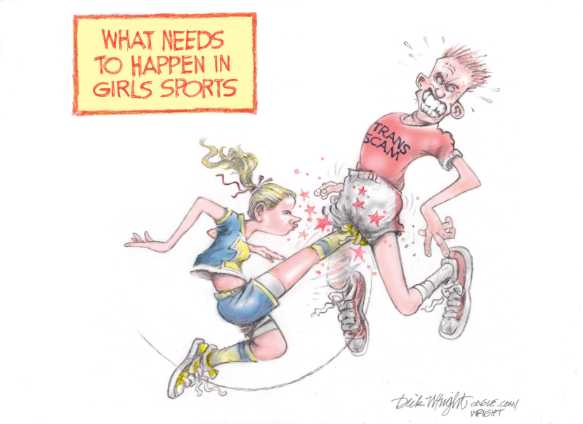 Boys in Girls Sports