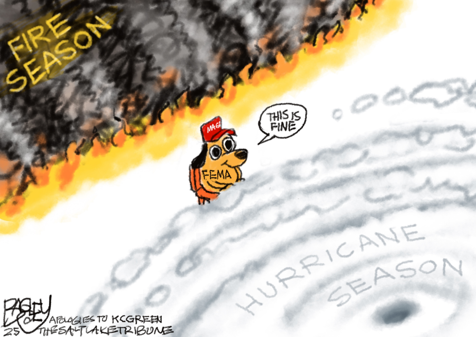 FEMA Unprepared for Disasters