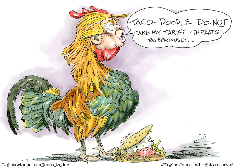 Trump taco rooster
