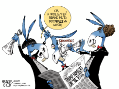 THE DEMOCRATS STOOGES by Margolis & Cox