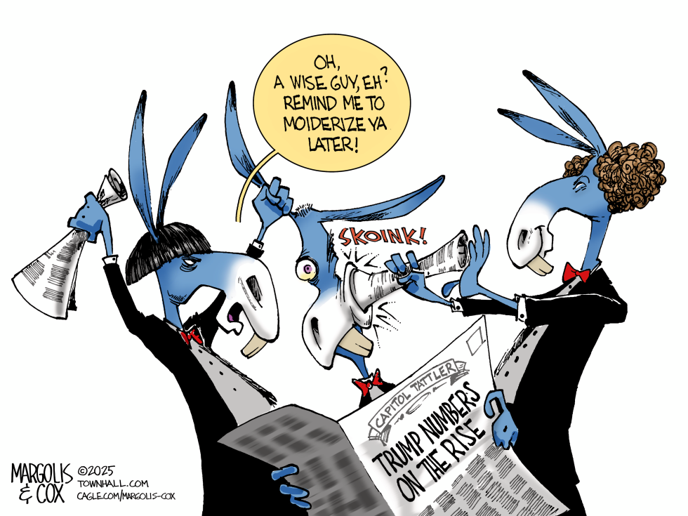 The Democrats Stooges