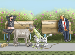 AMERICAN SUMMER by Marian Kamensky