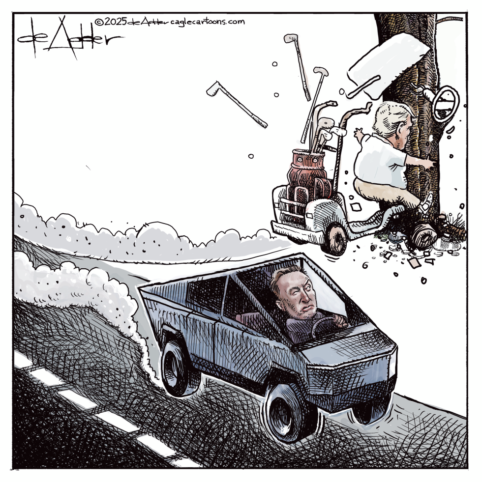Elon Musk cuts of Trump and his bill