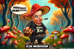 MUSK PICKS MUSHROOMS by Bart van Leeuwen