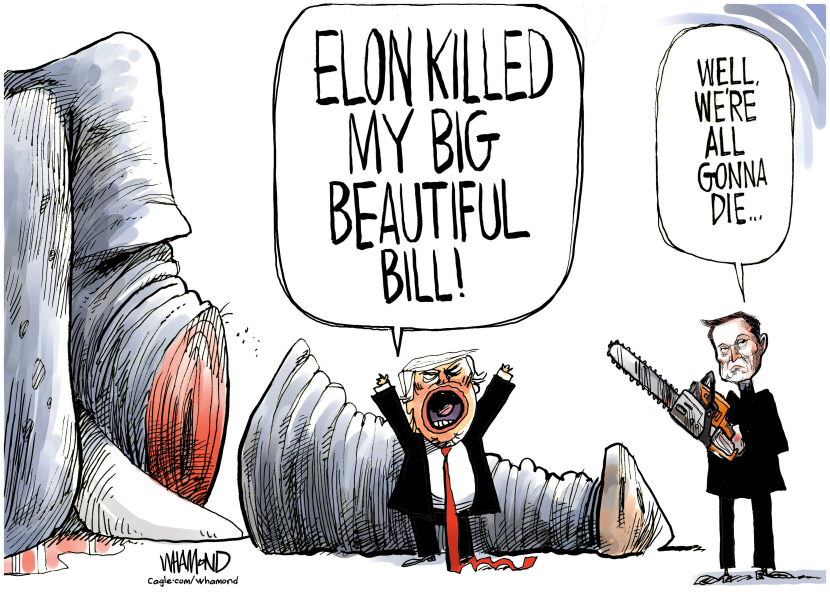 Musk Opposes Trump Bill with Chainsaw Critique