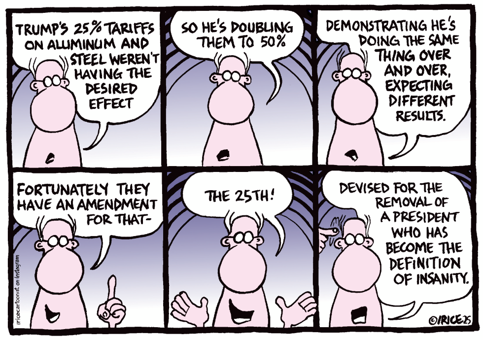 Invoking the 25th Amendment