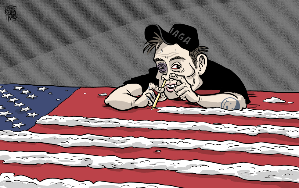 MAGA Junkie Elon