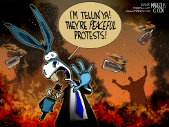 MSM GASLIGHTING ON ANTI-ICE RIOTS by Margolis & Cox