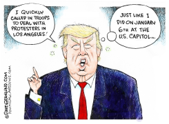 TRUMP AND LA PROTESTERS by Dave Granlund